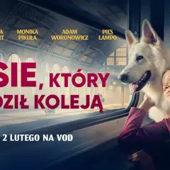 "O psie, który jeździł koleją": Gdzie obejrzeć online? Przewodnik VOD