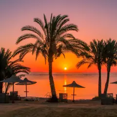 Zachód słońca nad morzem z palmami i parasolami na plaży w Egipcie.