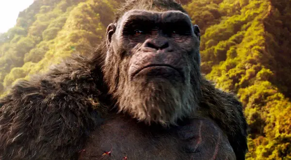 Kong, jeden z bohaterów filmu "Godzilla vs Kong", na tle bujnej, zielonej dżungli.