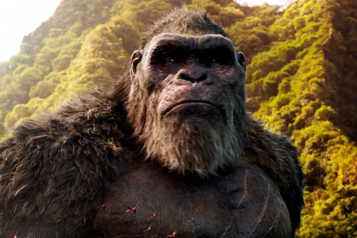 Kong, jeden z bohaterów filmu "Godzilla vs Kong", na tle bujnej, zielonej dżungli.