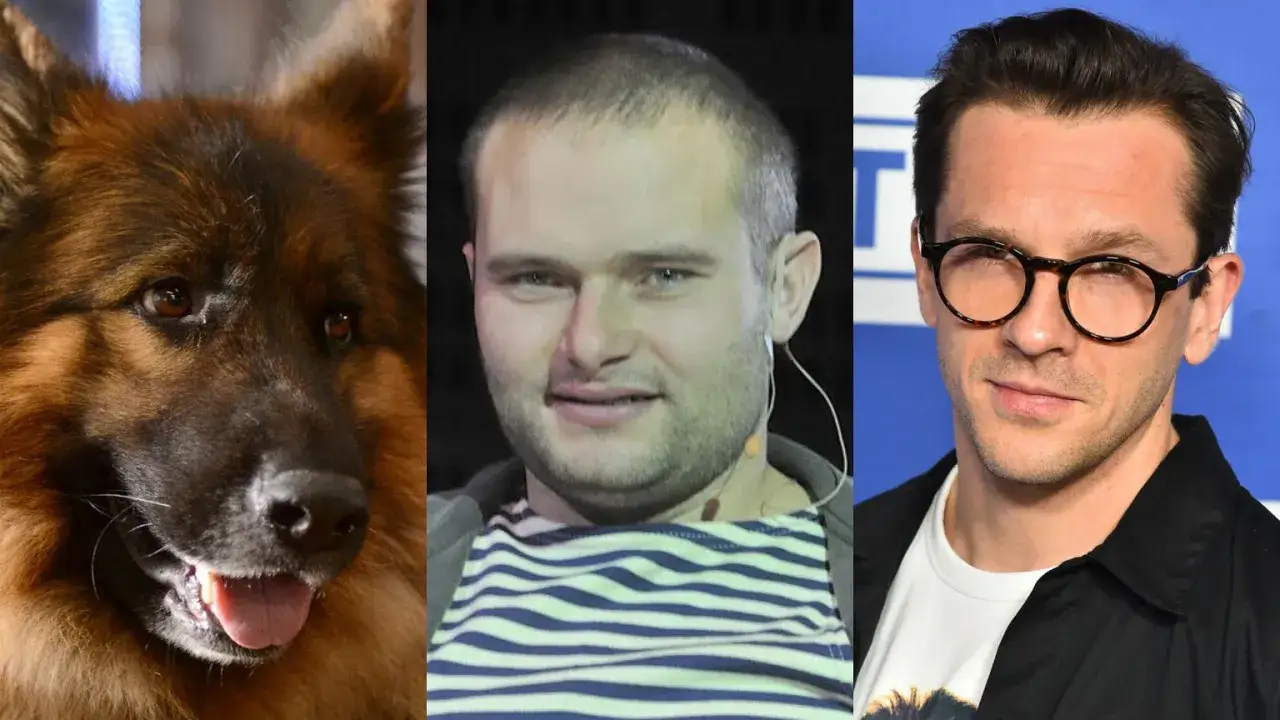 Komisarz Alex i jego ludzcy partnerzy: Jakub Wesołowski i Tomasz Schimscheiner.